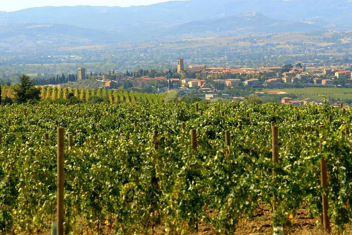 Agriturismo Wine Casale Villa Chiara Torgiano Exterior foto