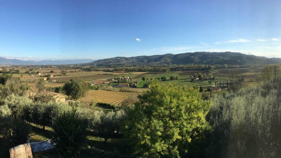 Agriturismo Wine Casale Villa Chiara Torgiano Exterior foto