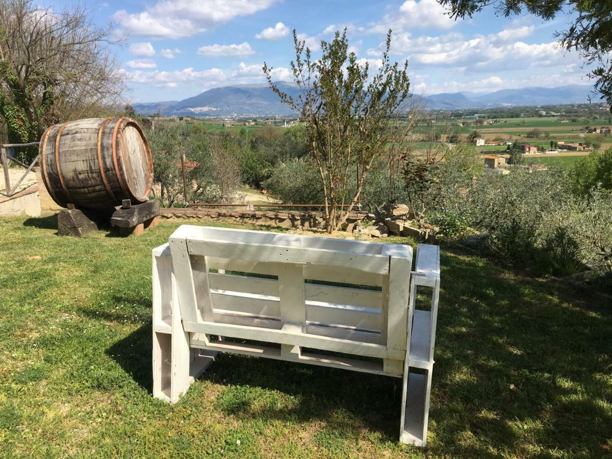 Agriturismo Wine Casale Villa Chiara Torgiano Exterior foto